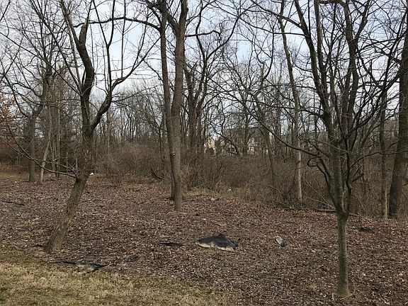 5th image of 4117 Bryson Cove Cir