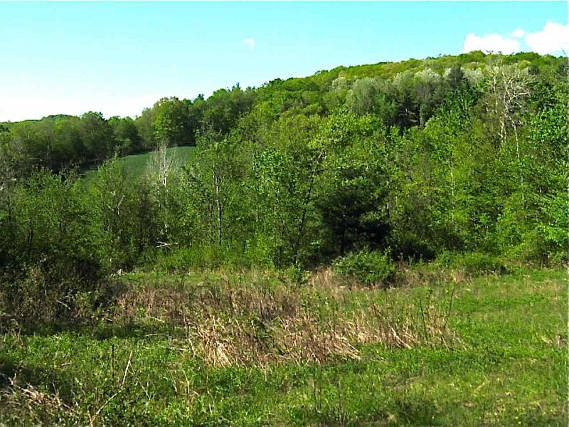 5th image of 0 BEATTIE HOLLOW Road