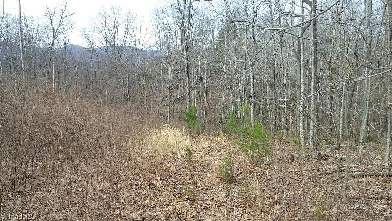 1st image of 0 Lumber Plant Rd