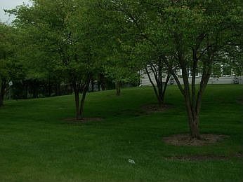 2nd image of 5 N Fernwood Dr