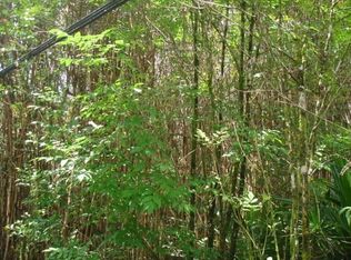 Road 8 Moho LOT 5173, Mountain View, HI 96771