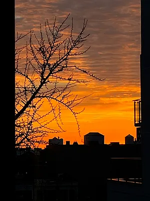 Rented by Enjena | media 30