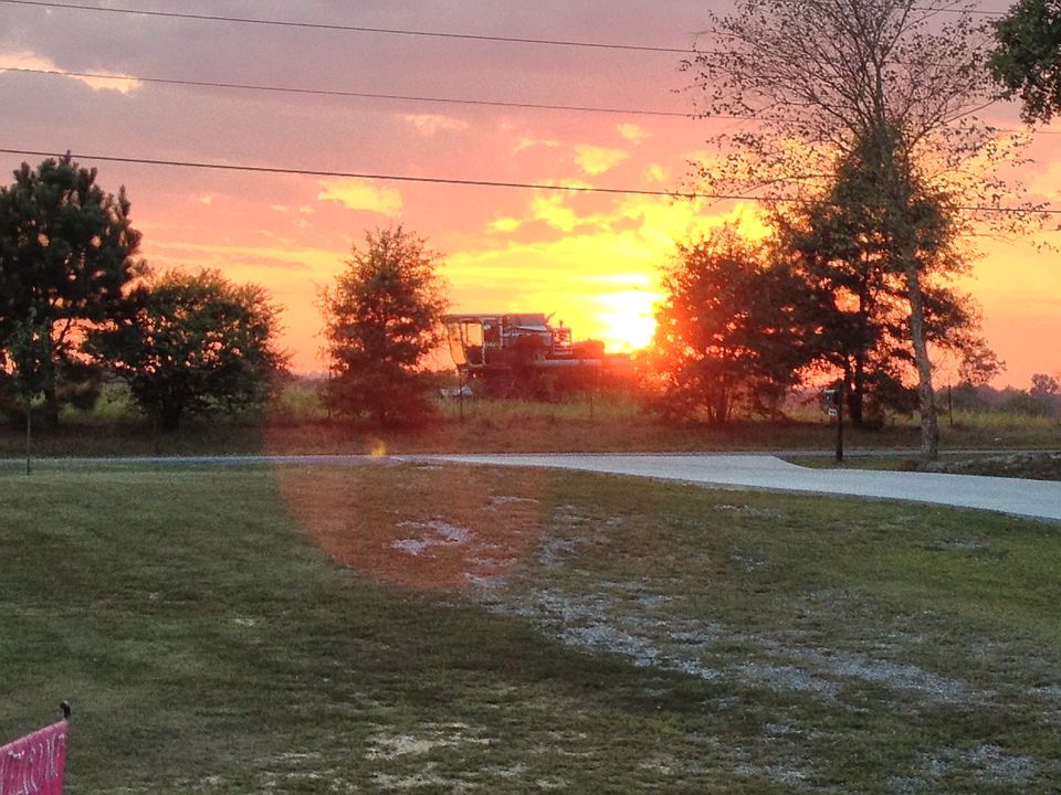 2nd image of 11539 County Road 747