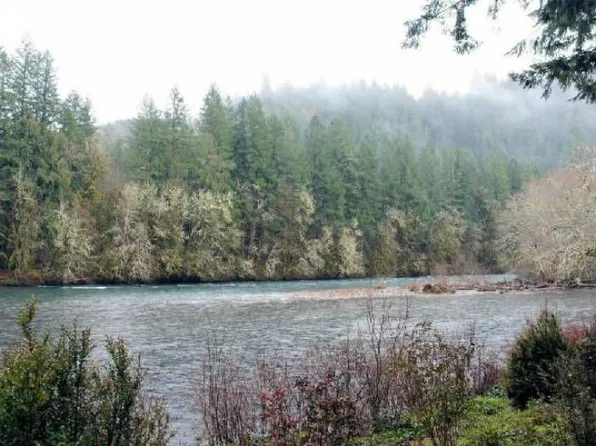 49480 McKenzie Hwy, Vida, OR 97488