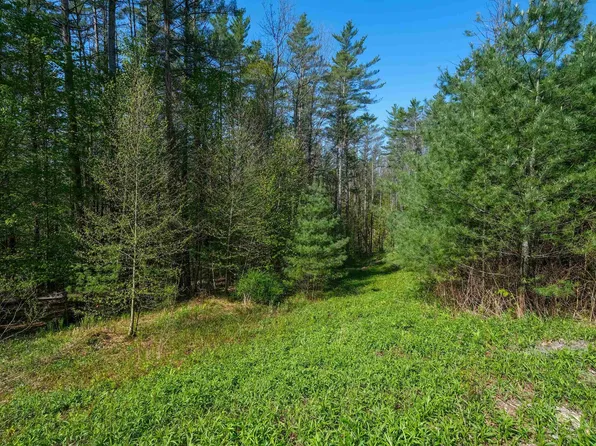 0 Cedar Drive, Ludlow, VT 05149