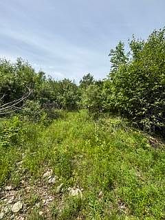2nd image of 13B Richardson Road