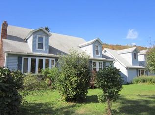 381 Knox Ave, Downsville, NY 13755
