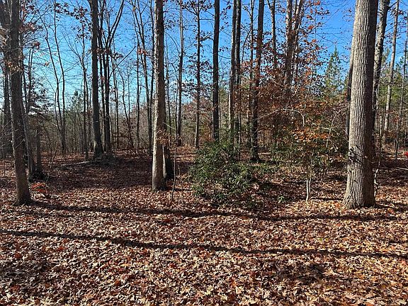2nd image of Goldmine Ln