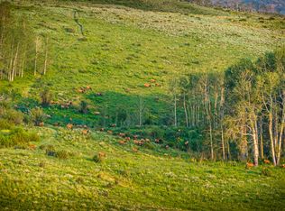 Eby Creek Rd, Eagle, CO 81631