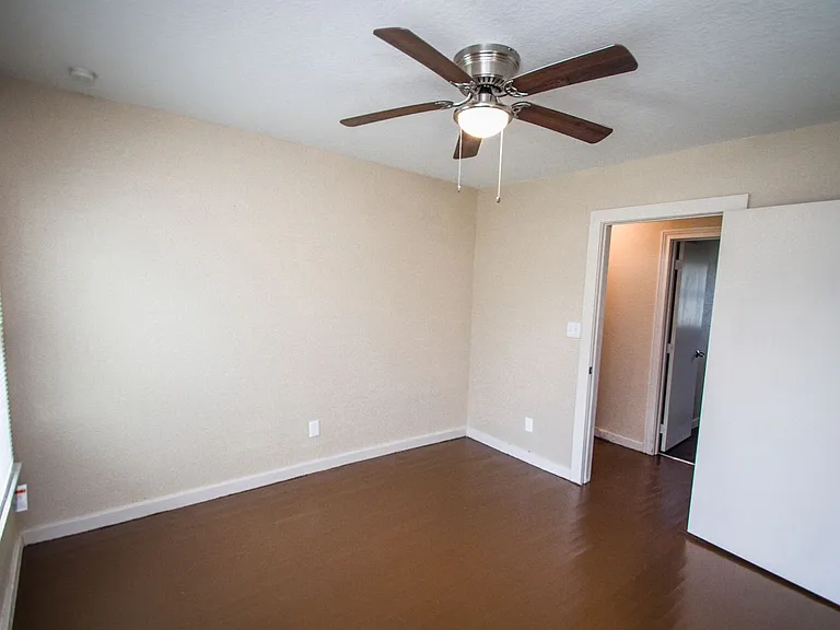 936 Poinsettia — Photo 29