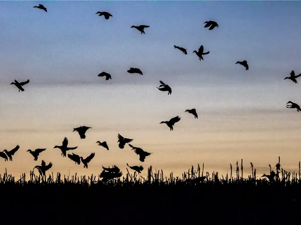 762 Carl Lind Dr, Fort Smith, MT 59035