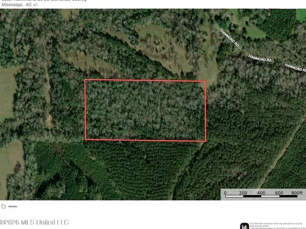 Hammond Rd, Monticello, MS 39654