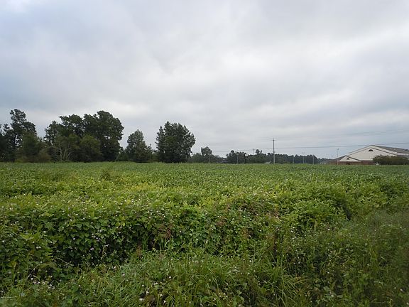 5th image of Tbd Off Hwy. 701/Vinegar Hill Road LOT 1-2