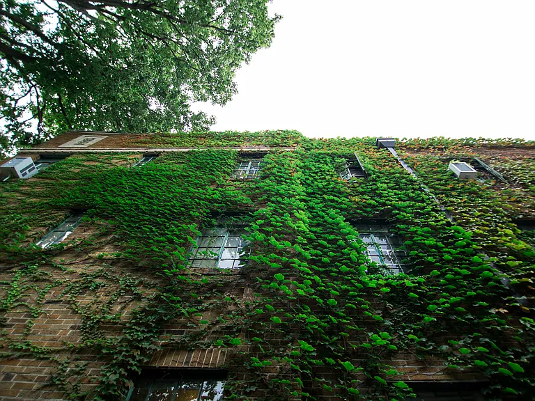 The Traymore — Photo 17