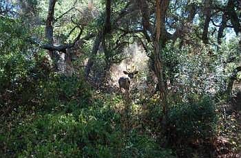 5th image of 5209 Palmer Cyn