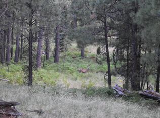 3231 Summer Loop, Forest Lakes, AZ 85931