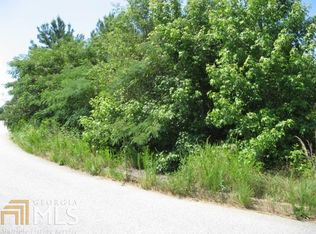 11019 Shadow Creek Ter #69, Hampton, GA 30228