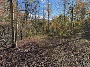 578 Whiteside Gap Road, Robbinsville, NC 28771