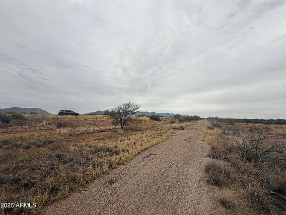 4th image of TBD AZ Wildcats Drive #10