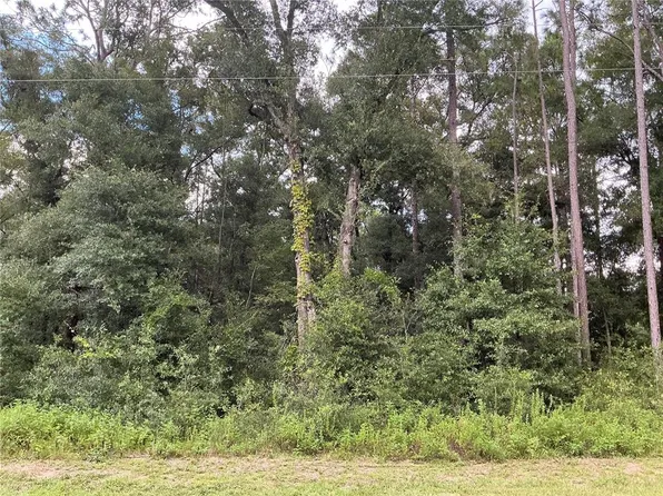 SW 117th Avenue Rd Lot 4, Ocala, FL 34481