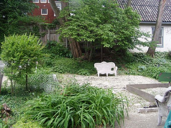 Back yard