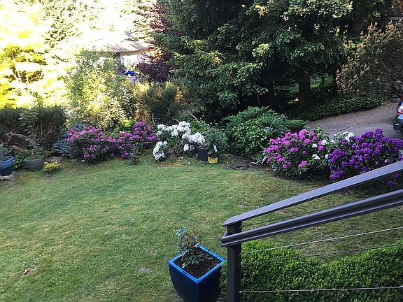 Front low maintenance yard