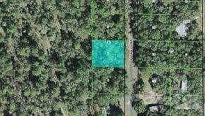 .28 Acre Lot Bordering the forest