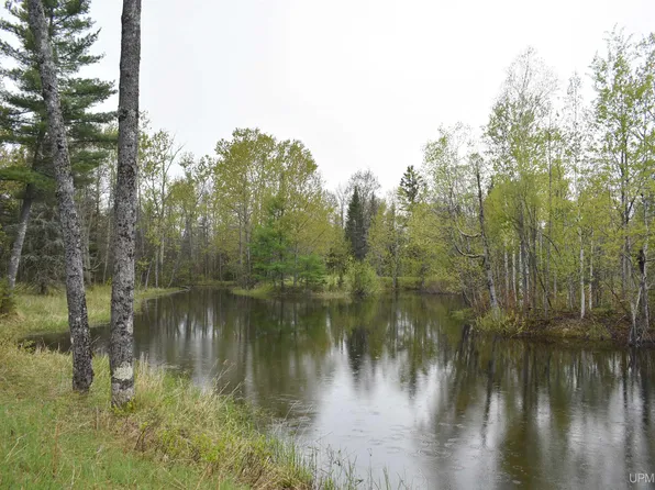 Bartosz 52 Ln, Perronville, MI 49873