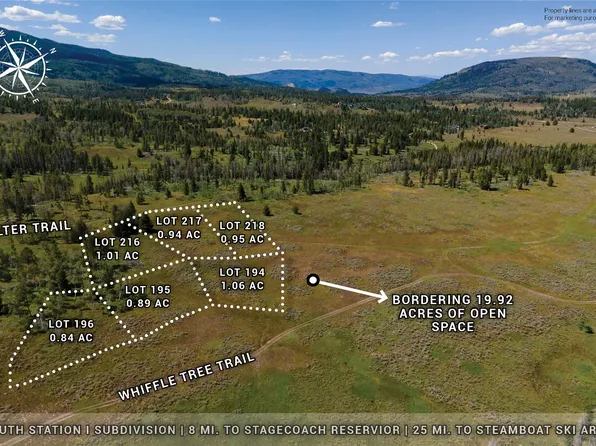 195 Halter Trl, Oak Creek, CO 80467