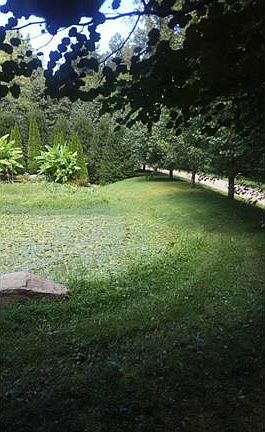 5th image of 447 Flint Gap Dr
