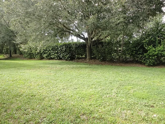 11298 Beebalm Cir — Photo 22