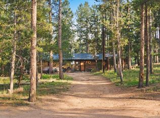 65 Road P36, Bailey, CO 80421