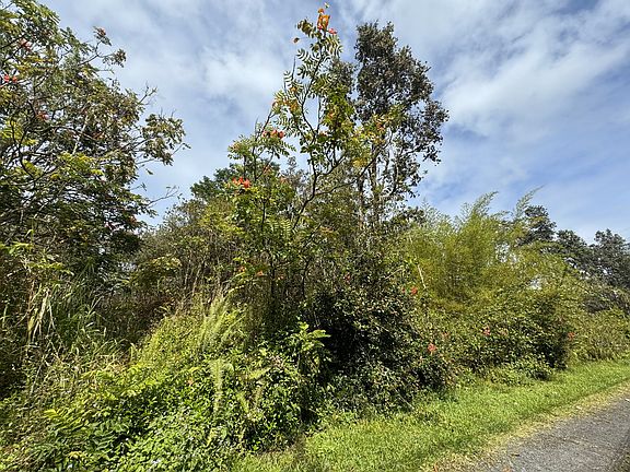5th image of 16-1217 Pulelehua Rd Lot 6054