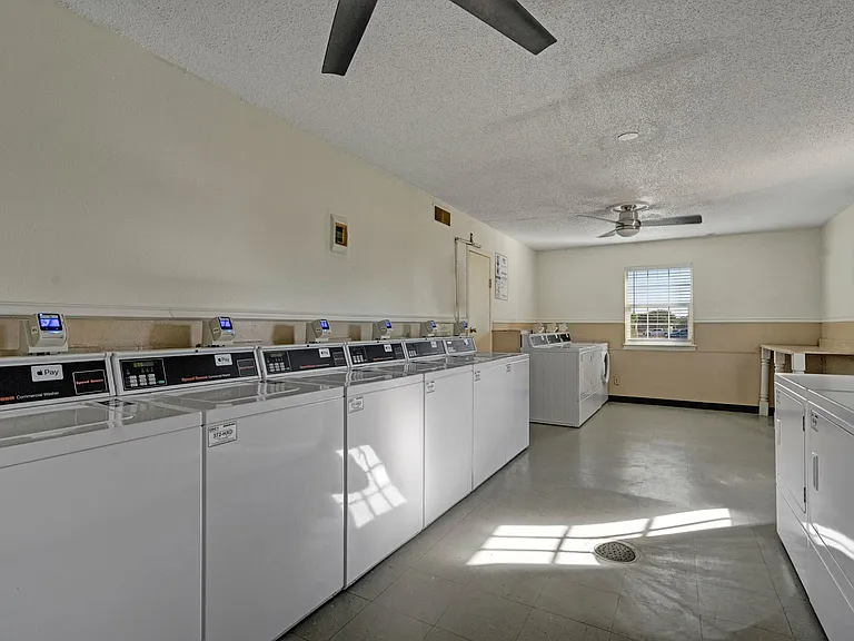 Golden Crest — Photo 15