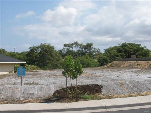 Lot 52