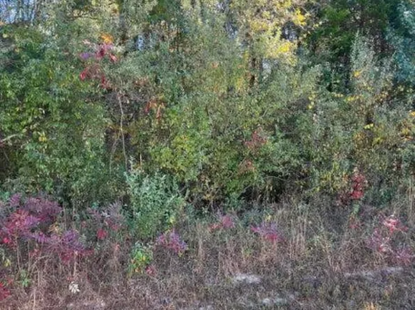 11424 Watkins Rd, Loudon, TN 37774