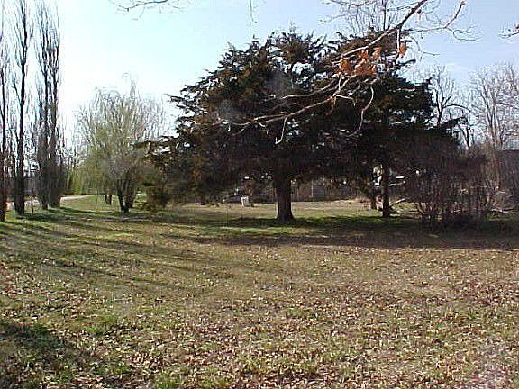 2nd image of 97 Plum Ln