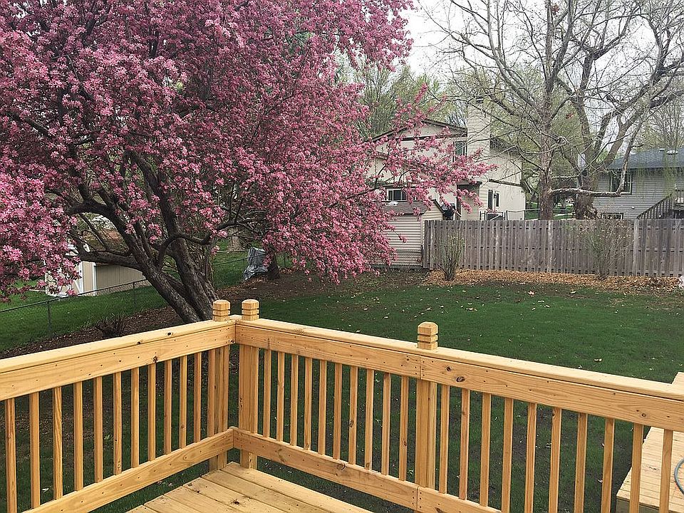 Deck and Backyard