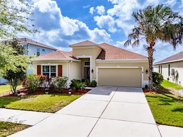 17609 Buckingham Garden Dr, Lithia, FL 33547
