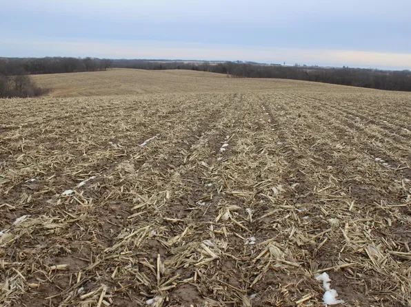 0 484th Ave, Miles, IA 52064