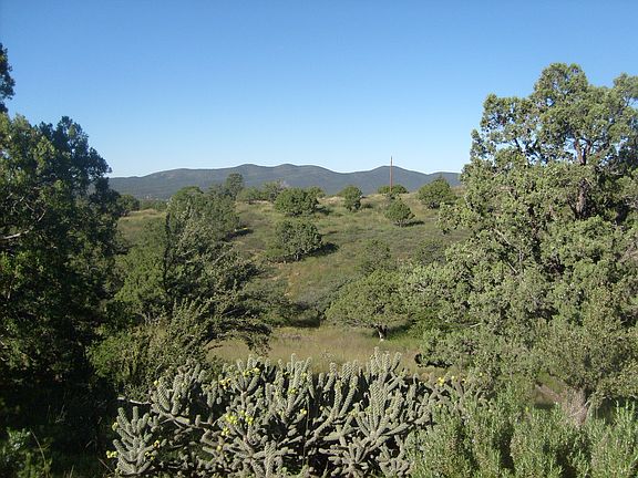 view from back porch