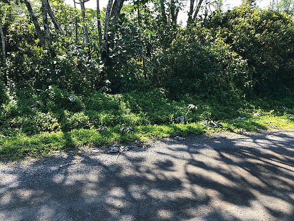 5th image of 4th Ave Lot 1284