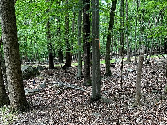3rd image of 6445 Quinn Rd