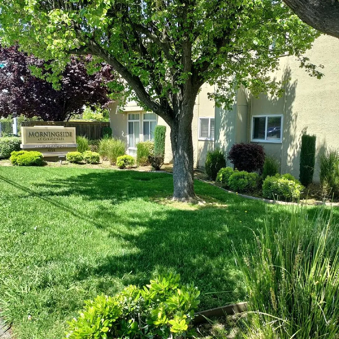 Morningside At Carmichael Apartment Hones — Photo 2