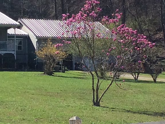 2nd image of 426 Low Gap Ln