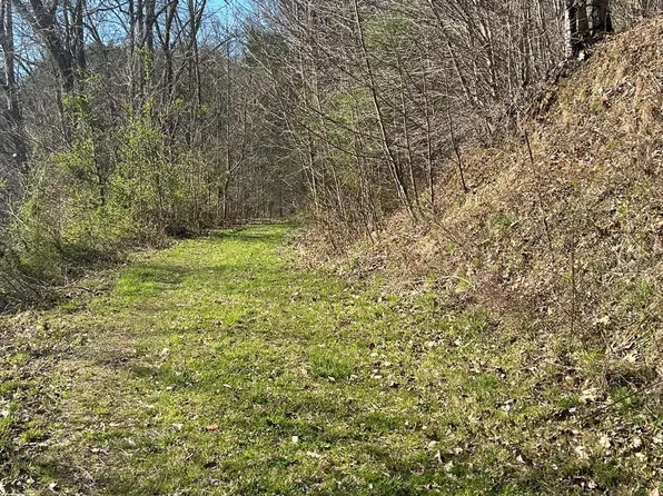 117 Morning Glory Ln, Marshall, NC 28753