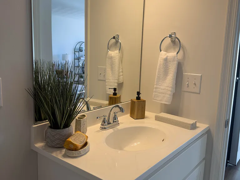 Full master bathroom