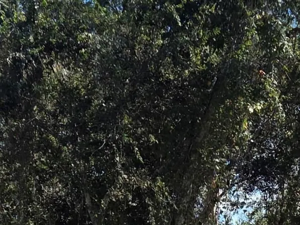 0 Lost Lake Dr, Mont Belvieu, TX 77523