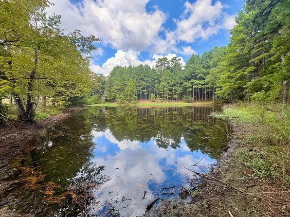 398 Pine Tree Rd, Oxford, AR 72565