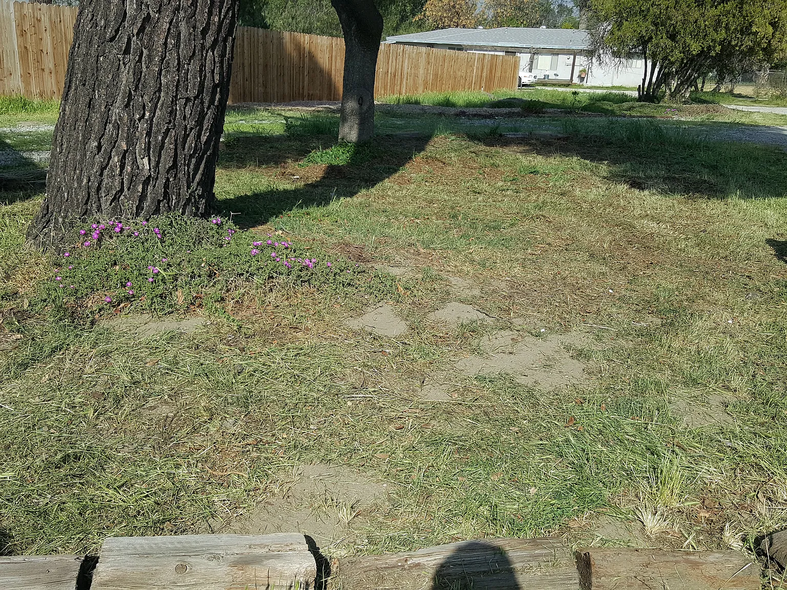 1431 Cottonwood Ave — Photo 4